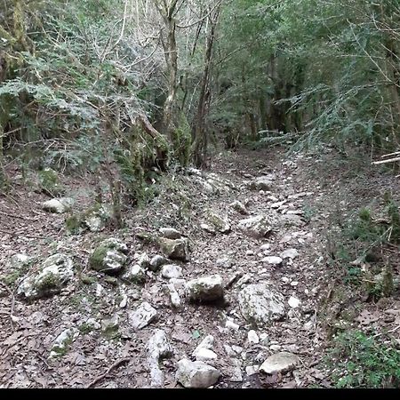 Hamiti Camping Center Dukat Esterno foto