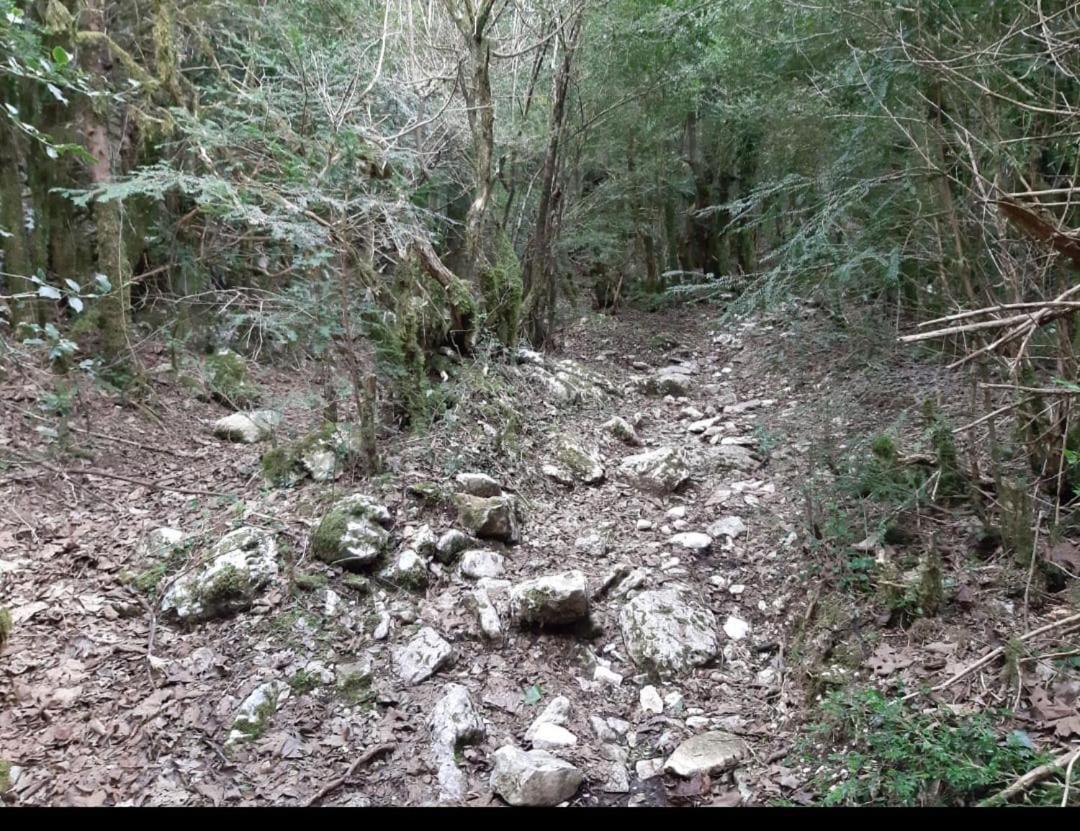 Hamiti Camping Center Dukat Esterno foto